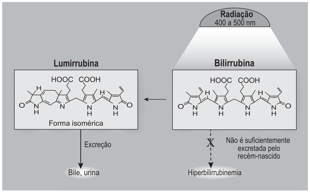 Esquema da fototerapia: radiação de 400 a 500 nm incide sobre a estrutura química da bilirrubina, que é convertida em lumirrubina. A lumirrubina é identificada como forma isomérica e segue por uma seta de excreção para «Bile, urina». Uma seta tracejada sob a bilirrubina aponta para «Hiperbilirrubinemia», mas está marcada com um X e acompanhada do texto «Não é suficientemente excretada pelo recém-nascido».