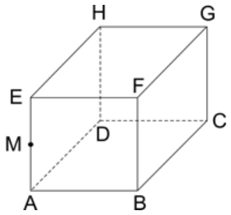 F1 Cubo de vértices ABCDEFGH com a base ABCD e o topo EFGH, indicando o ponto M sobre a aresta vertical AE.