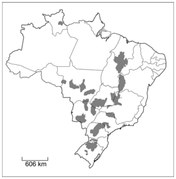 F1 Mapa do Brasil com divisão estadual apresentando áreas destacadas em cinza em partes do Centro-Oeste, Sul, Sudeste, Nordeste (região do MATOPIBA/oeste baiano) e Norte (Roraima). Na porção inferior esquerda, escala gráfica de 606 km.