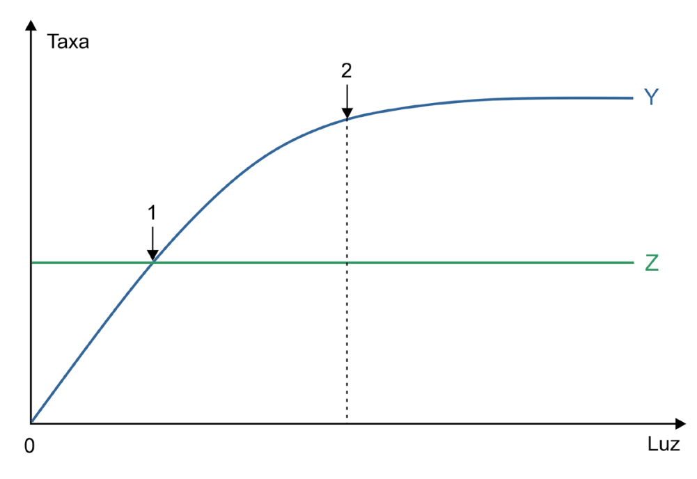 F1 Gráfico de Taxa em função da intensidade de Luz. A curva Y, azul, inicia no ponto zero e sobe de forma assintótica até atingir um platô. A reta Z, verde, é horizontal e constante. A seta 1 indica o ponto de interseção entre Y e Z. A seta 2 indica o ponto de saturação na curva Y, do qual desce uma linha vertical tracejada até o eixo horizontal.