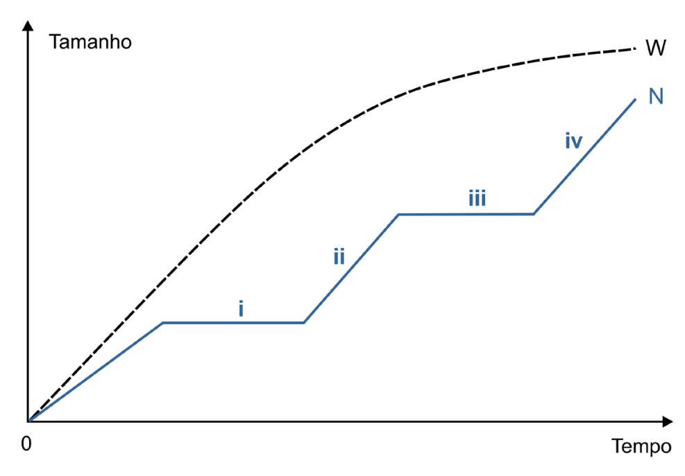 Gráfico de Tamanho em função do Tempo, apresentando duas curvas com origem no ponto 0: a curva tracejada W tem crescimento contínuo e desacelera suavemente; a curva contínua N tem crescimento em degraus, com segmentos horizontais rotulados como i e iii, intercalados por segmentos ascendentes inclinados rotulados como ii e iv.