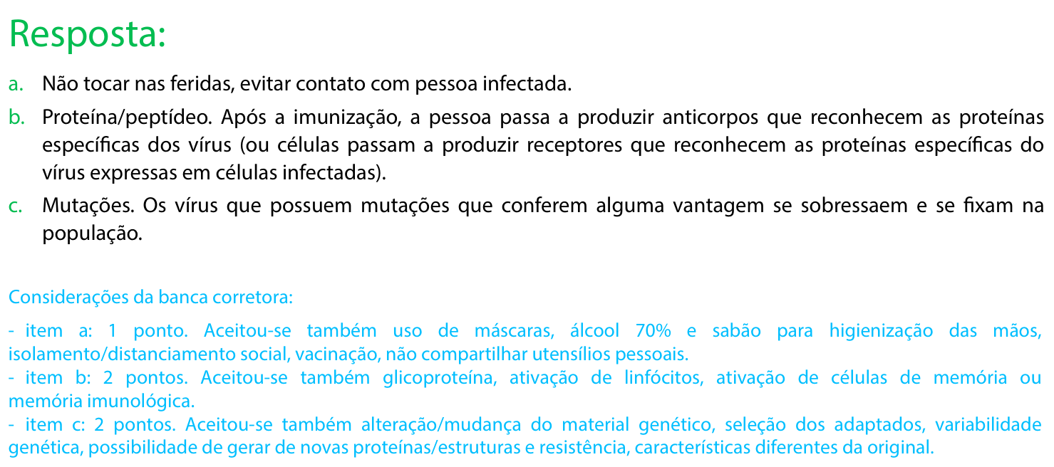 Resposta esperada no documento da FUVEST