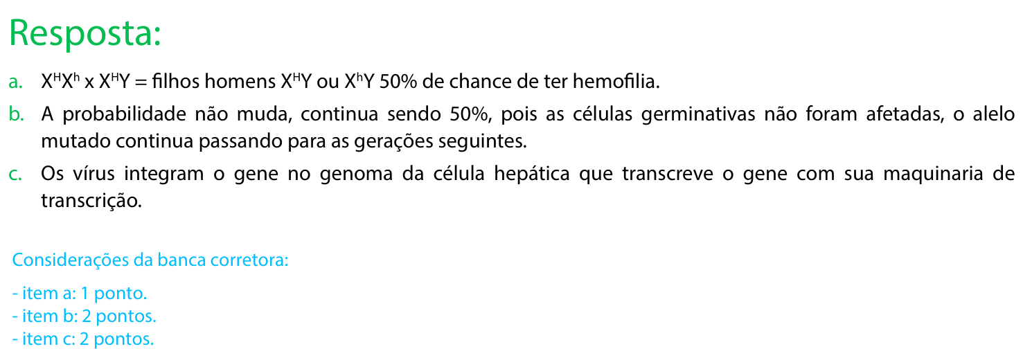 Resposta esperada no documento da FUVEST