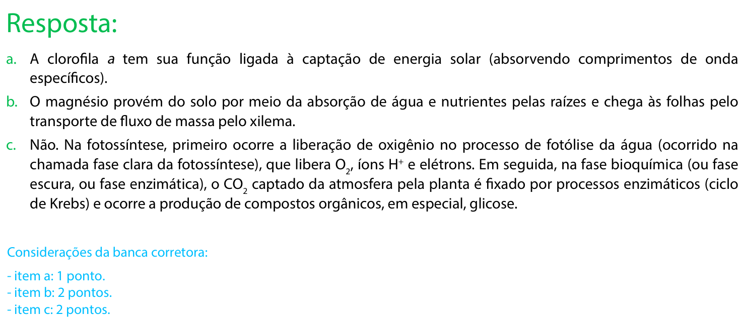 Resposta esperada no documento da FUVEST