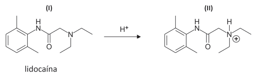 Equação química mostrando a protonação da molécula de lidocaína (I) em presença de H+, formando a espécie protonada (II) no átomo de nitrogênio da amina terciária.