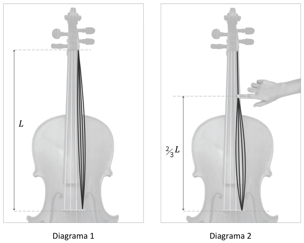 Diagramas 1 e 2 ilustrando uma corda de violoncelo vibrando em onda estacionária. No Diagrama 1, a corda vibra em seu comprimento total L formando um único fuso (modo fundamental). No Diagrama 2, a corda é pressionada por um dedo a uma distância de (2/3)L do cavalete, de forma que apenas a porção inferior de comprimento (2/3)L vibra, formando também um único fuso.