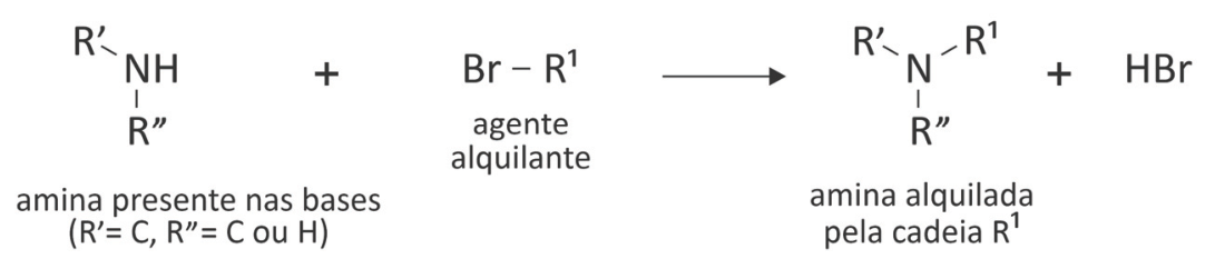 Esquema de alquilação de uma amina: um nitrogênio ligado a R′, R″ e H reage com Br–R¹, formando um nitrogênio ligado a R′, R″ e R¹, mais HBr. Sob a amina inicial está escrito “amina presente nas bases (R′= C, R″= C ou H)”; sob Br–R¹, “agente alquilante”; e sob o produto orgânico, “amina alquilada pela cadeia R¹”. Uma seta aponta dos reagentes para os produtos.