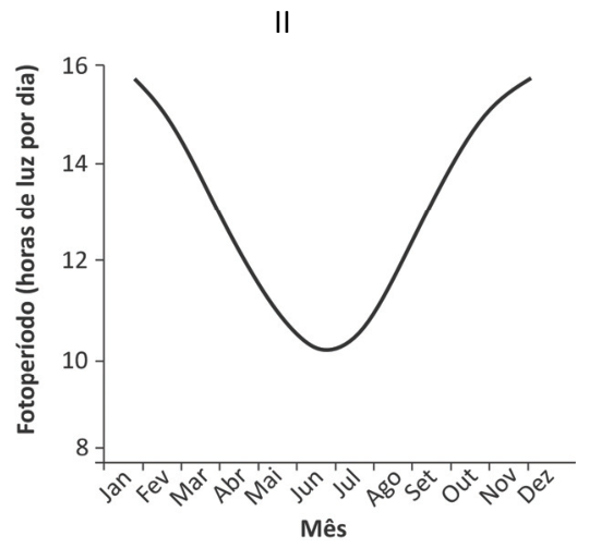 Gráfico II: Fotoperíodo (horas de luz por dia) ao longo dos meses do ano, variando de cerca de 16 horas em janeiro e dezembro a um mínimo próximo a 10 horas em junho e julho.