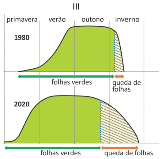Gráfico III: Curvas de fenologia foliar para os anos de 1980 e 2020 ao longo das estações (primavera, verão, outono e inverno), indicando os períodos de folhas verdes e queda de folhas.