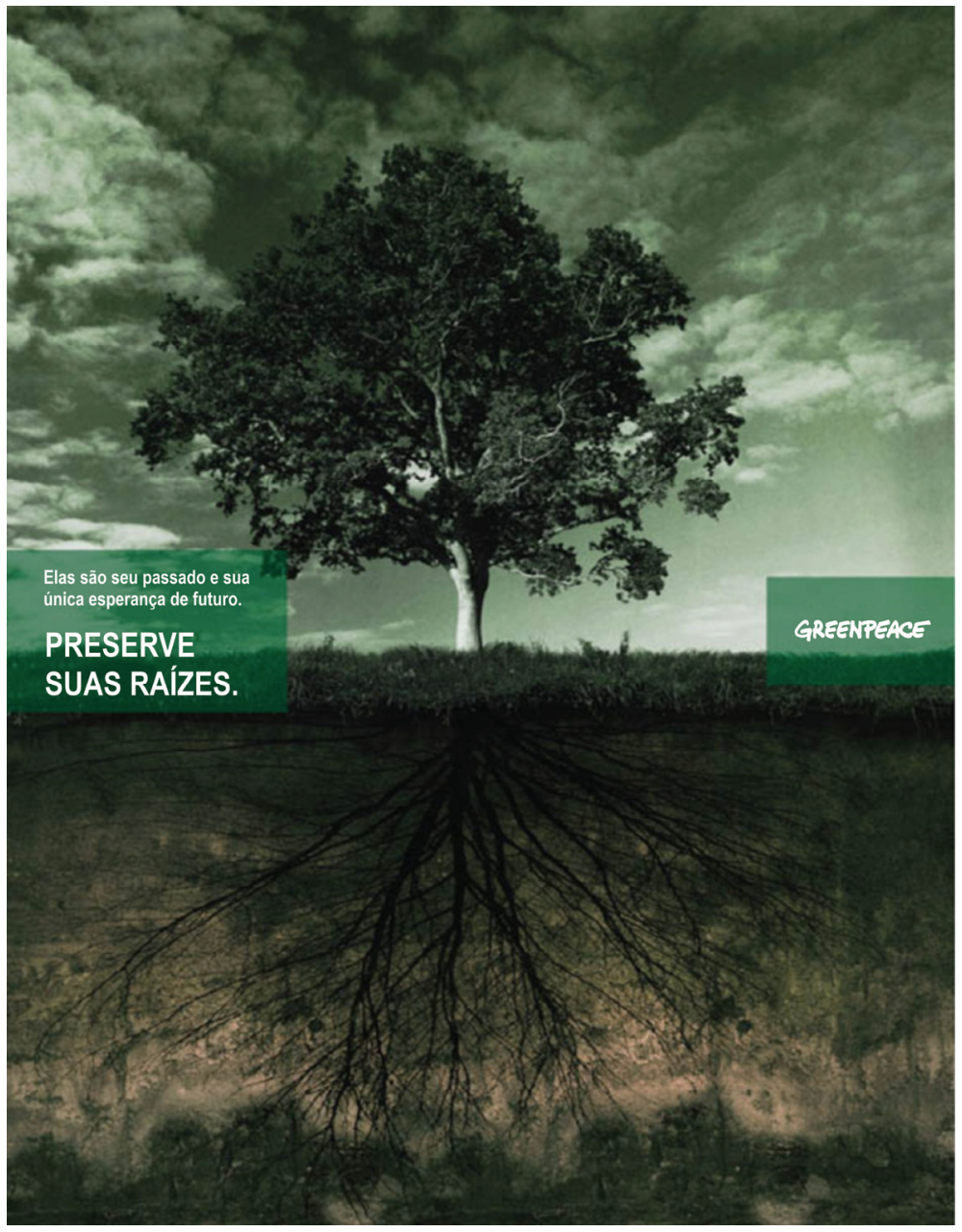 Peça publicitária do Greenpeace mostrando uma árvore em um descampado com seu sistema de raízes subterrâneo exposto, acompanhada dos textos: "Elas são seu passado e sua única esperança de futuro. PRESERVE SUAS RAÍZES." e a logomarca do Greenpeace.