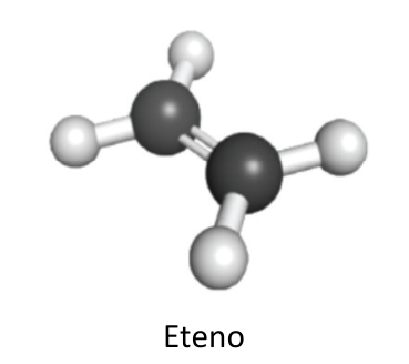 Modelo tridimensional de esferas e bastões da molécula de eteno