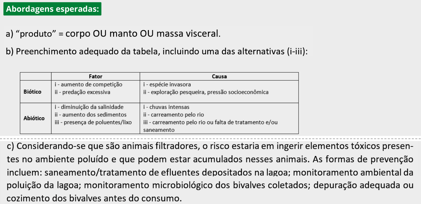 Resposta esperada no documento da FUVEST
