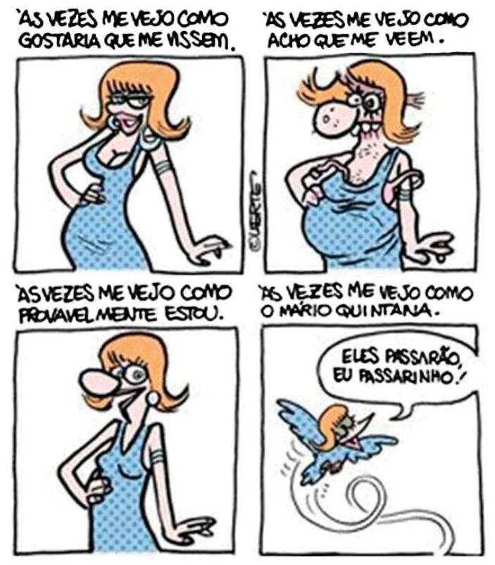 Tirinha de quatro quadrinhos de Laerte com uma personagem feminina. No primeiro quadro, com o texto "Às vezes me vejo como gostaria que me vissem", ela aparece desenhada de forma sensual e maquiada. No segundo quadro, com o texto "Às vezes me vejo como acho que me veem", ela aparece desgrenhada, com pelos no colo e alça caída. No terceiro, com o texto "Às vezes me vejo como provavelmente estou", é desenhada com o traço caricatural típico da autora. No quarto quadro, com o texto "Às vezes me vejo como o Mário Quintana", a personagem aparece transformada em um pequeno pássaro voando e dizendo em um balão de fala: "Eles passarão, eu passarinho!".