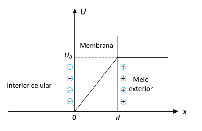 Gráfico do potencial elétrico U em função da posição x. À esquerda do eixo vertical (x < 0) está indicado o interior celular com quatro cargas negativas alinhadas verticalmente. Entre x = 0 e x = d está a membrana celular, onde o potencial U cresce linearmente de 0 na origem até U₀ em x = d. À direita de x = d (x > d), o potencial U permanece constante em U₀ e há a indicação de meio exterior com quatro cargas positivas alinhadas verticalmente.