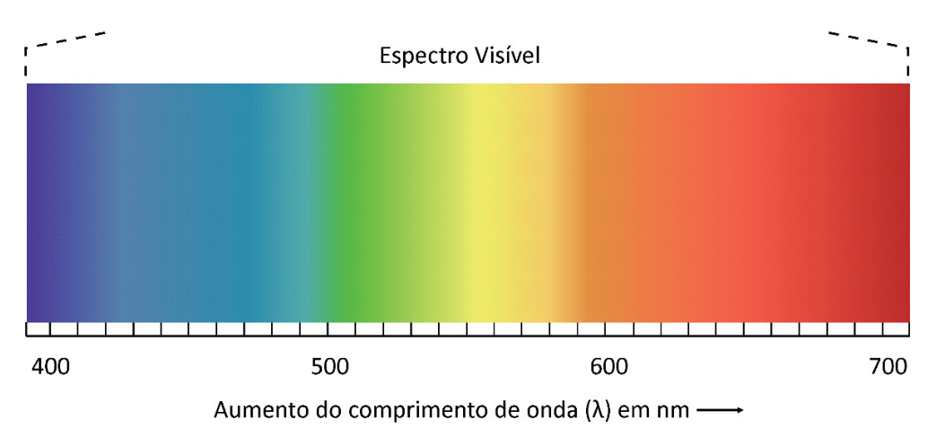 Espectro visível exibindo uma escala horizontal graduada de comprimento de onda variando de 400 nm a 700 nm, com as cores se estendendo do azul (400 nm), verde (500 nm), amarelo (em torno de 550 nm), laranja (600 nm) ao vermelho (700 nm).
