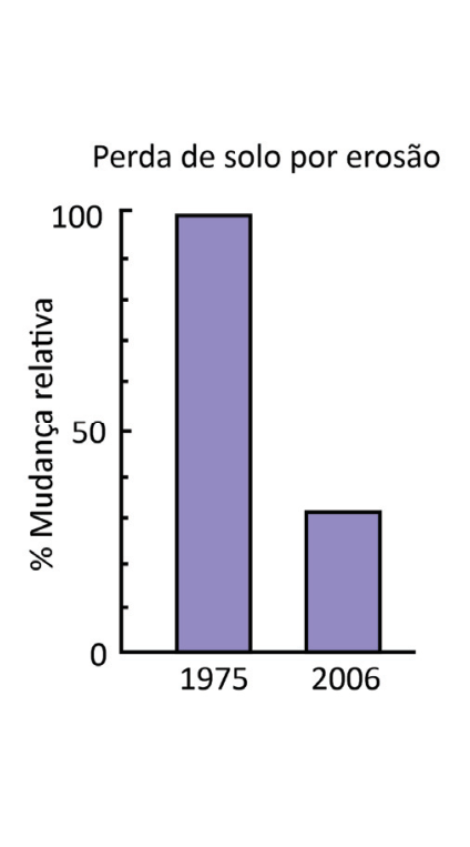 Gráfico de barras intitulado "Perda de solo por erosão". O eixo vertical indica "% Mudança relativa", variando de 0 a 100. O eixo horizontal apresenta os anos 1975 (barra atingindo 100) e 2006 (barra atingindo aproximadamente 35).