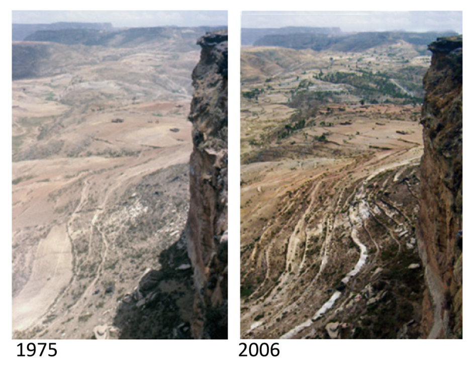 Duas fotografias de encostas de uma escarpa na Etiópia: à esquerda, em 1975, com solo degradado e desprovido de vegetação; à direita, em 2006, com degraus em curvas de nível ou terraceamento e recuperação da vegetação.