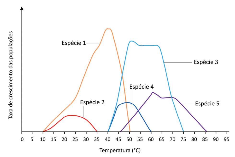 Gráfico de linhas intitulado "Taxa de crescimento das populações" no eixo vertical versus "Temperatura (°C)" no eixo horizontal (variando de 0 a 95 de 5 em 5). Mostra as curvas de crescimento de 5 espécies de bactérias: Espécie 1 (laranja, estendendo-se de 10 a 50 °C), Espécie 2 (vermelha, de 10 a 35 °C), Espécie 3 (azul-clara, de 40 a 75 °C), Espécie 4 (azul-escura, de 40 a 60 °C) e Espécie 5 (roxa, de 45 a 85 °C).