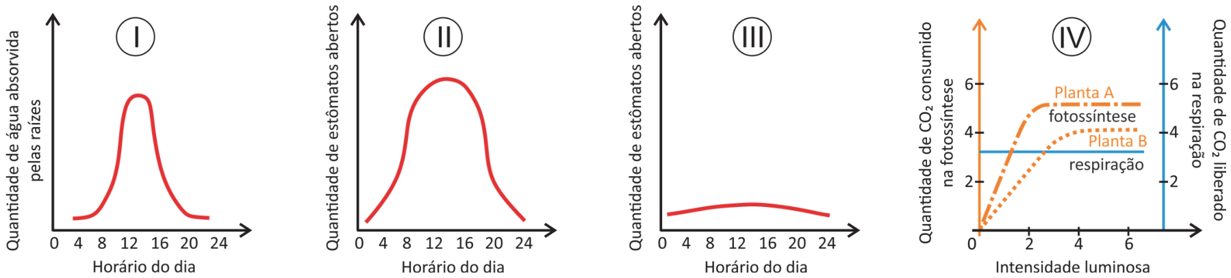 Quatro gráficos sobre fisiologia vegetal: o gráfico I mostra a quantidade de água absorvida pelas raízes ao longo de 24 horas, com pico por volta das 12h às 14h; o gráfico II mostra a quantidade de estômatos abertos ao longo do dia, com abertura máxima entre as 8h e 18h; o gráfico III mostra a quantidade de estômatos abertos ao longo do dia com valores constantemente baixos; o gráfico IV relaciona a quantidade de CO₂ consumido na fotossíntese (eixo vertical esquerdo) e liberado na respiração (linha reta horizontal azul contínua, eixo vertical direito) em função da intensidade luminosa para a Planta A (curva tracejada de subida mais rápida, atingindo saturação em 5) e para a Planta B (curva pontilhada de subida mais lenta, atingindo saturação em 4).