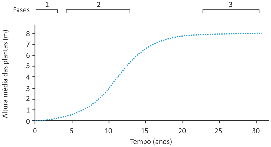 F1 Gráfico de linha mostrando a altura média das plantas em metros (eixo vertical, de 0 a 8) em relação ao tempo em anos (eixo horizontal, de 0 a 30). Na parte superior, estão delimitadas três fases: a Fase 1 (aproximadamente de 1 a 3 anos), a Fase 2 (aproximadamente de 4 a 13 anos) e a Fase 3 (aproximadamente de 22 a 30 anos). A curva pontilhada azul inicia em 0 m no ano 0, cresce suavemente até cerca de 5 anos, apresenta crescimento acelerado entre 5 e 18 anos, e atinge um platô em torno de 8 m por volta dos 20 anos em diante.