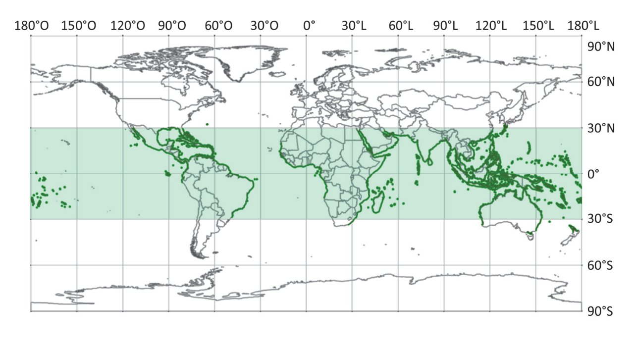 F1 Mapa-múndi indicando a distribuição de um ecossistema costeiro em verde, concentrado na faixa entre as latitudes de 30° N e 30° S.