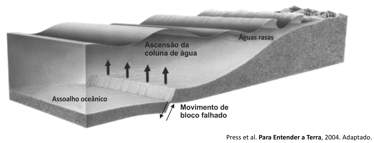 Bloco-diagrama ilustrando a geração e propagação de tsunamis. No fundo, sobre o assoalho oceânico, ocorre um "Movimento de bloco falhado" indicado por setas opostas em uma falha, provocando a "Ascensão da coluna de água" (indicada por setas verticais para cima). A oscilação gera ondas que se propagam em direção à costa ("Águas rasas"), onde a profundidade diminui, a distância entre as cristas diminui e a altura das ondas aumenta. Crédito no canto inferior direito: Press et al. Para Entender a Terra, 2004. Adaptado.