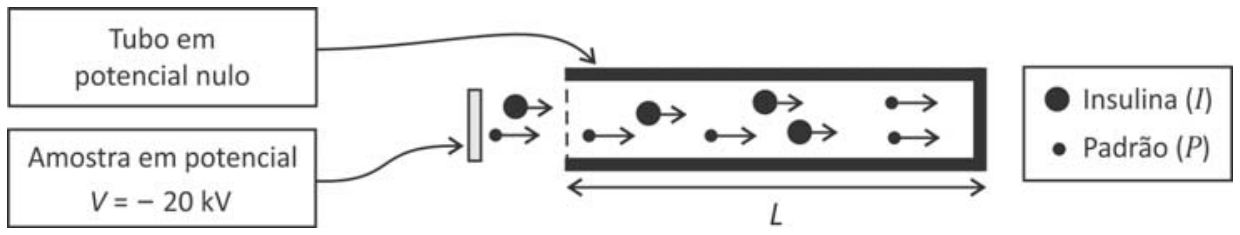 Esquema experimental mostrando uma amostra em potencial V = -20 kV liberando íons através de uma abertura para o interior de um tubo metálico de comprimento L em potencial nulo. À direita, a legenda identifica círculos maiores com setas como Insulina (I) e círculos menores com setas como Padrão (P), ambos deslocando-se para a direita.