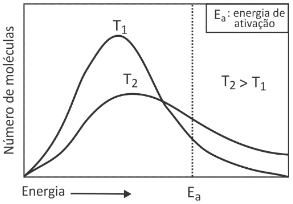 Gráfico de distribuição de energia cinética molecular para duas temperaturas, T1 e T2, com T2 maior que T1. O eixo vertical indica o número de moléculas e o eixo horizontal indica a energia, com uma seta apontando para a direita. A curva para T1 é mais estreita e com pico mais alto, enquanto a curva para T2 é mais achatada e deslocada para energias maiores. Uma linha vertical tracejada marca a energia de ativação (Ea), acompanhada da legenda 'Ea: energia de ativação' e da indicação 'T2 > T1'.