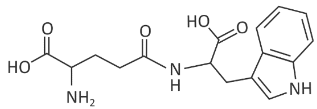 Fórmula estrutural plana do peptídeo, com a sequência HO–C(=O)–CH(NH₂)–CH₂–CH₂–C(=O)–NH–CH(C(=O)–OH)–CH₂ ligada a um grupo indol. À direita, o grupo indol apresenta um anel benzênico fundido a um anel de cinco membros contendo NH. Estão representados os dois grupos carboxila, o grupo NH₂ e a ligação peptídica C(=O)–NH.