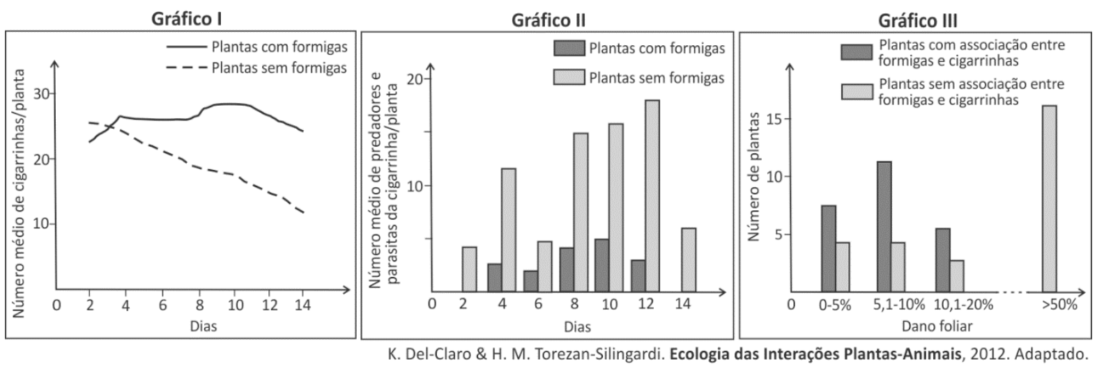 Gráfico I: linha do número médio de cigarrinhas/planta em função dos dias (0 a 14) para plantas com formigas e sem formigas. Gráfico II: barras do número médio de predadores e parasitas da cigarrinha/planta nos dias 2 a 14 para plantas com e sem formigas. Gráfico III: barras do número de plantas em diferentes faixas de dano foliar (0-5%, 5,1-10%, 10,1-20% e >50%) para plantas com e sem associação entre formigas e cigarrinhas.