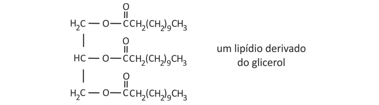Fórmula estrutural de um lipídio derivado do glicerol com a legenda "um lipídio derivado do glicerol"