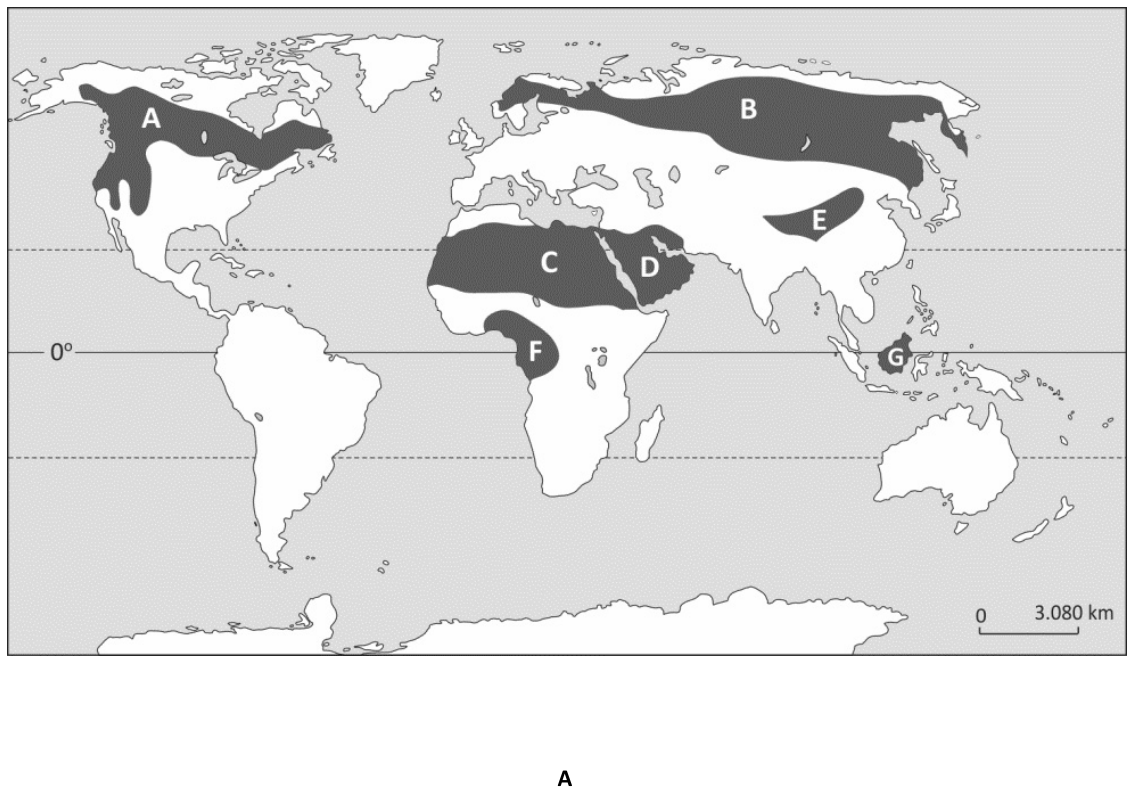 Mapa-múndi com projeção plana indicando a linha do Equador (0°) e os trópicos, destacando sete regiões em cinza-escuro identificadas pelas letras de A a G: A e B nas altas latitudes do hemisfério Norte (América do Norte e Eurásia); C e D no norte da África e Península Arábica; E na Ásia Central; F na porção equatorial da África (Golfo da Guiné e Bacia do Congo); e G no Sudeste Asiático (ilhas da Insulíndia). Abaixo à direita, há uma barra de escala gráfica indicando 0 a 3.080 km.
