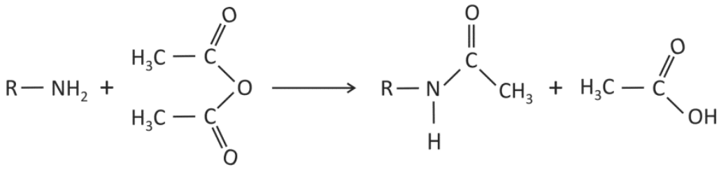 Esquema de acetilação: R–NH₂ reage com anidrido acético, de estrutura CH₃–C(=O)–O–C(=O)–CH₃, formando a amida R–NH–C(=O)–CH₃ e ácido acético, CH₃–C(=O)–OH.