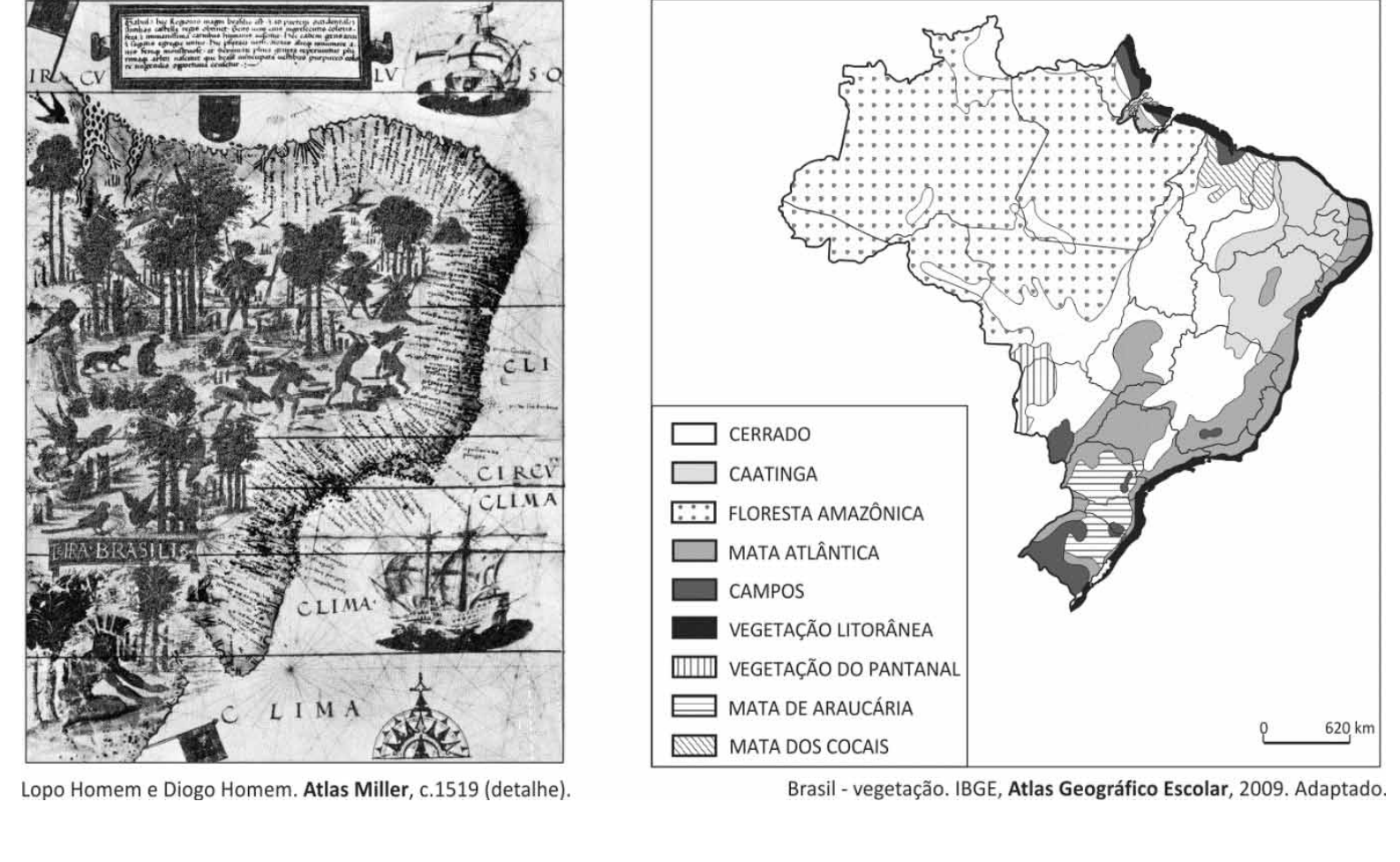 Dois mapas do Brasil lado a lado: à esquerda, mapa histórico ilustrado "Terra Brasilis" do Atlas Miller de 1519, com representações figurativas de indígenas, animais, árvores e caravelas; à direita, mapa temático contemporâneo do Brasil com a distribuição da vegetação (Cerrado, Caatinga, Floresta Amazônica, Mata Atlântica, Campos, Vegetação Litorânea, Vegetação do Pantanal, Mata de Araucária e Mata dos Cocais) com escala gráfica de 0 a 620 km.
