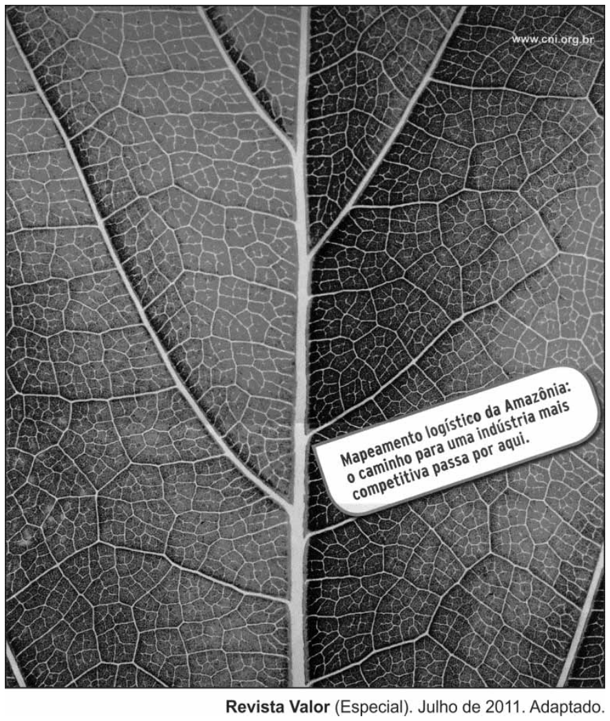 Anúncio publicitário composto por uma fotografia em preto e branco em plano detalhe das nervuras de uma folha de árvore. No canto superior direito, há o endereço "www.cni.org.br". Próximo à nervura central, há um retângulo com bordas arredondadas contendo a frase: "Mapeamento logístico da Amazônia: o caminho para uma indústria mais competitiva passa por aqui."
