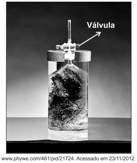 Equipamento cilíndrico transparente contendo ramos de planta aquática imersos em líquido, encimado por uma tampa com torneira/válvula controladora de saída dos gases. Uma seta indica a "Válvula".