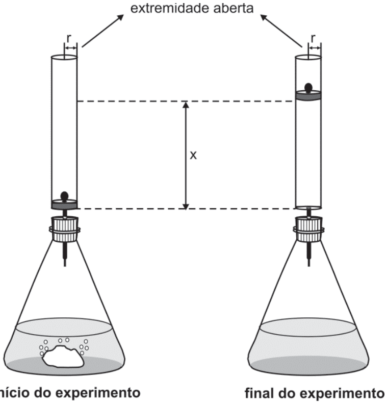 Esquema do aparelho no início e no final do experimento: um frasco cônico vedado por uma rolha com tubo conectado a um cilindro vertical de raio r e extremidade superior aberta, contendo um êmbolo móvel. No início do experimento, o êmbolo está na base do cilindro; no final do experimento, o gás desprendido desloca o êmbolo para cima, atingindo uma altura x.