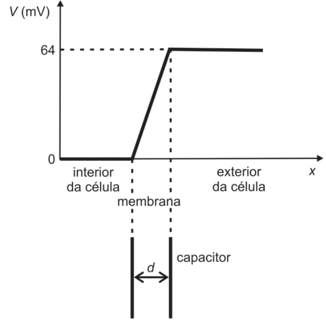 Gráfico do potencial elétrico V (mV) em função da posição x. No interior da célula, o potencial é 0; na membrana, aumenta linearmente de 0 a 64 mV; no exterior da célula, permanece em 64 mV. Linhas tracejadas indicam o nível de 64 mV e os limites da membrana. Abaixo desses limites, duas placas paralelas, identificadas como capacitor, estão separadas pela distância d, indicada por uma seta de duas pontas.