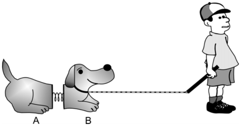 Menino em pé puxando horizontalmente por uma corda a parte dianteira B de um cachorro de brinquedo, que está ligada à parte traseira A por uma mola horizontal esticada.