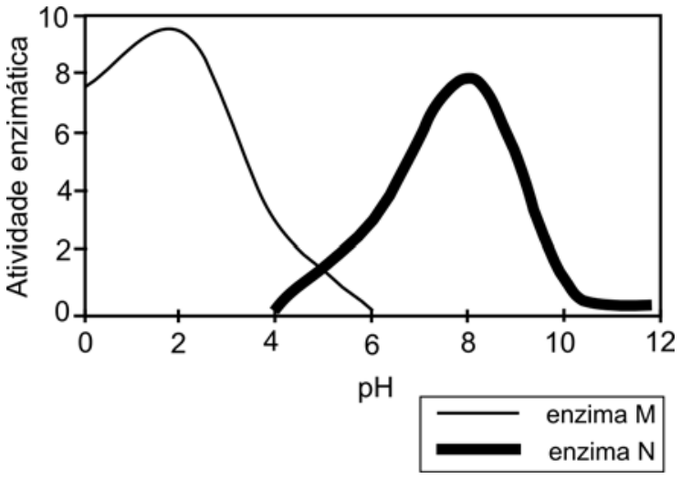Gráfico de atividade enzimática em função do pH. O eixo vertical, “Atividade enzimática”, vai de 0 a 10, com marcações a cada 2 unidades; o eixo horizontal, “pH”, vai de 0 a 12, com marcações a cada 2 unidades. A legenda identifica a enzima M por uma linha fina e a enzima N por uma linha grossa. A curva da enzima M começa com atividade próxima de 7,5 em pH 0, atinge um máximo próximo de 9,5 em pH 2 e decresce até zero em pH 6. A curva da enzima N começa próxima de zero em pH 4, atinge um máximo próximo de 8 em pH 8 e decresce até ficar próxima de zero entre pH 10 e 12. As curvas se cruzam aproximadamente em pH 5.