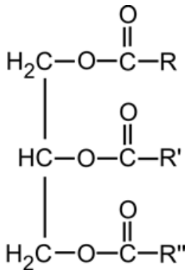 Fórmula estrutural genérica de um triglicerídeo, mostrando uma cadeia de três carbonos ligados a três grupos éster com cadeias R, R' e R''