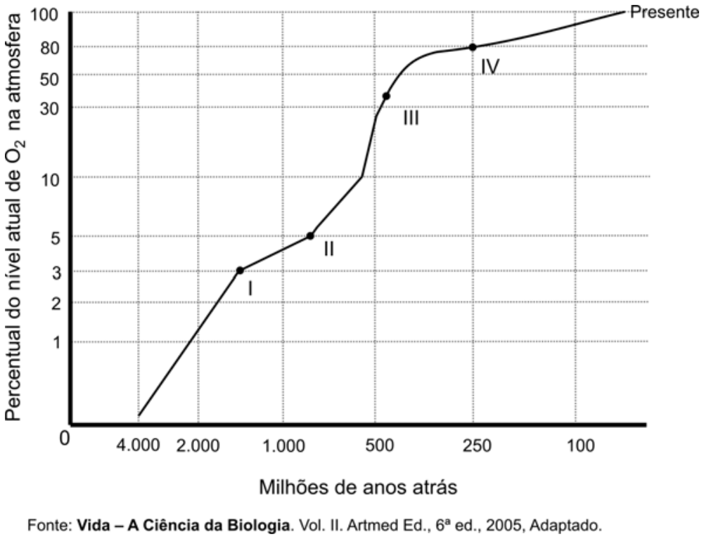 Gráfico de linha relacionando o percentual do nível atual de O₂ na atmosfera ao tempo em milhões de anos atrás, marcando os pontos I, II, III e IV ao longo da curva que atinge o presente com 100%.