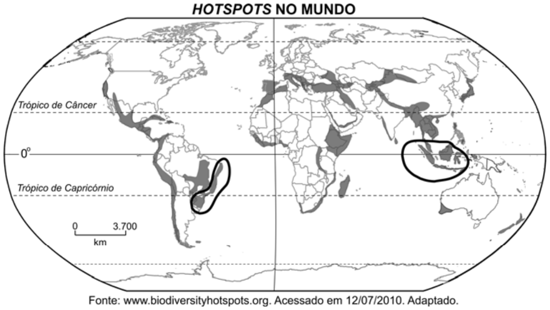 Mapa-múndi intitulado "HOTSPOTS NO MUNDO" indicando áreas de hotspots globais em cinza escuro. Estão destacados por contornos pretos dois hotspots: a faixa litorânea do Brasil (Mata Atlântica) e a região insular da Ásia equatorial (Sudeste Asiático/Insulíndia).