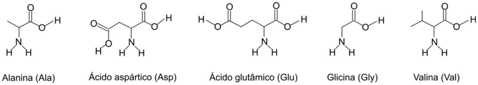 Fórmulas estruturais dos aminoácidos Alanina (Ala), Ácido aspártico (Asp), Ácido glutâmico (Glu), Glicina (Gly) e Valina (Val).