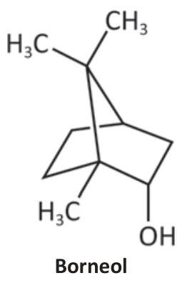 F1 Representação tridimensional da fórmula estrutural do borneol, exibindo um sistema bicíclico com três substituintes metila e uma hidroxila.
