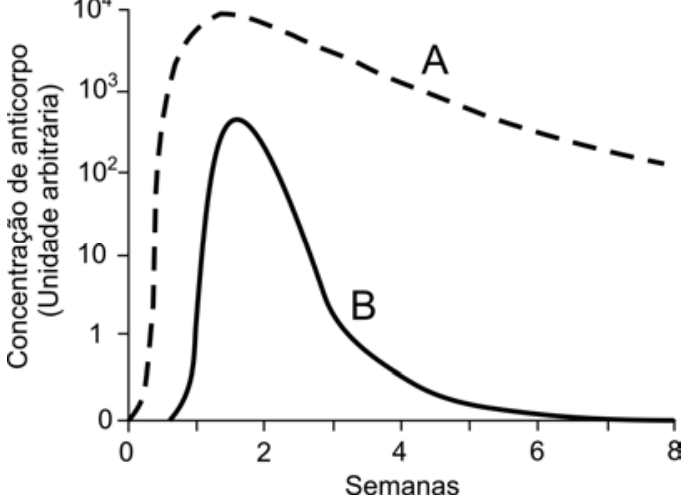 F1 Gráfico de concentração de anticorpo (unidade arbitrária, em escala de 0 a 10⁴) versus tempo em semanas (de 0 a 8). A curva A, tracejada, sobe rapidamente desde a primeira semana, atinge um pico próximo a 10⁴ e decresce lentamente até cerca de 10² na oitava semana. A curva B, de linha contínua, tem início um pouco mais tardio, atinge pico em torno de 500 na segunda semana e decai até atingir zero antes da oitava semana.