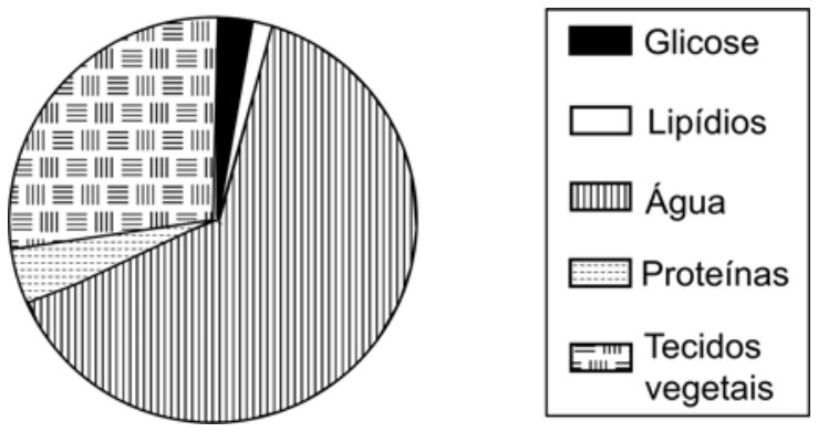 Gráfico de setores indicando as porcentagens dos constituintes de uma folha de planta: Água (maior porção, com linhas verticais), Tecidos vegetais (segunda maior porção, com padrão quadriculado/tijolo), Proteínas (faixa pequena pontilhada), Lipídios (faixa estreita em branco) e Glicose (faixa estreita em preto). Ao lado, legenda identificando cada fração.