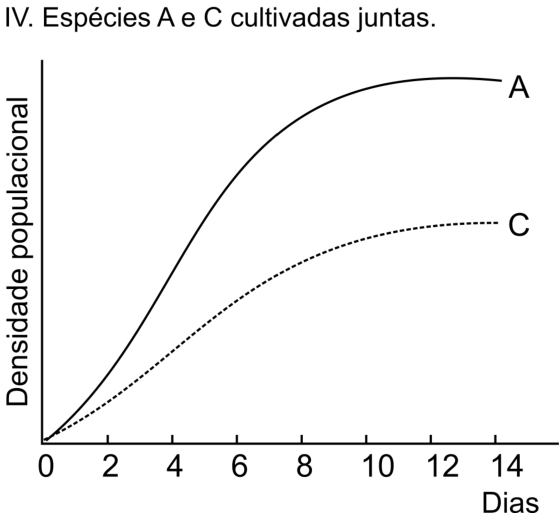 Gráfico IV. Espécies A e C cultivadas juntas. Eixo vertical: Densidade populacional, sem valores numéricos. Eixo horizontal: Dias, com marcas em 0, 2, 4, 6, 8, 10, 12 e 14. As curvas A, contínua, e C, de pequenos traços, partem da origem, crescem e se estabilizam, com A acima de C.