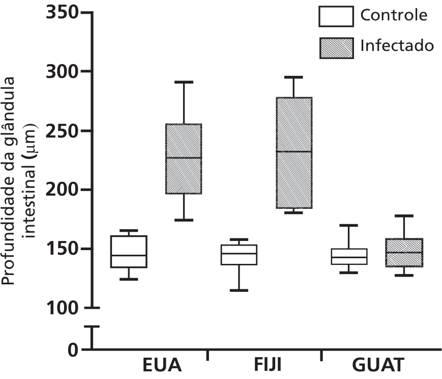 Gráfico de caixas da profundidade da glândula intestinal (µm) para EUA, FIJI e GUAT. O eixo vertical apresenta 0, uma quebra de escala e os valores 100, 150, 200, 250, 300 e 350. A legenda identifica Controle por caixas brancas e Infectado por caixas hachuradas. Nos EUA, o controle tem mediana aproximada de 145 µm e extremos de 125 a 165 µm; o infectado tem mediana aproximada de 225 µm e extremos de 175 a 290 µm. Em FIJI, o controle tem mediana aproximada de 145 µm e extremos de 115 a 160 µm; o infectado tem mediana aproximada de 230 µm e extremos de 180 a 295 µm. Em GUAT, o controle tem mediana aproximada de 142 µm e extremos de 130 a 170 µm; o infectado tem mediana aproximada de 147 µm e extremos de 127 a 178 µm.