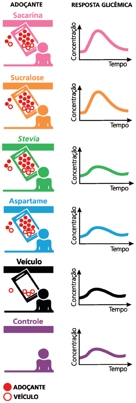 Esquema de teste com quatro adoçantes (sacarina, sucralose, estévia e aspartame), veículo e controle, acompanhado dos respectivos gráficos de resposta glicêmica mostrando a concentração de glicose no sangue em função do tempo. Os gráficos para sacarina e sucralose exibem picos proeminentes, enquanto os gráficos de estévia, aspartame, veículo e controle exibem curvas discretas e achatadas.